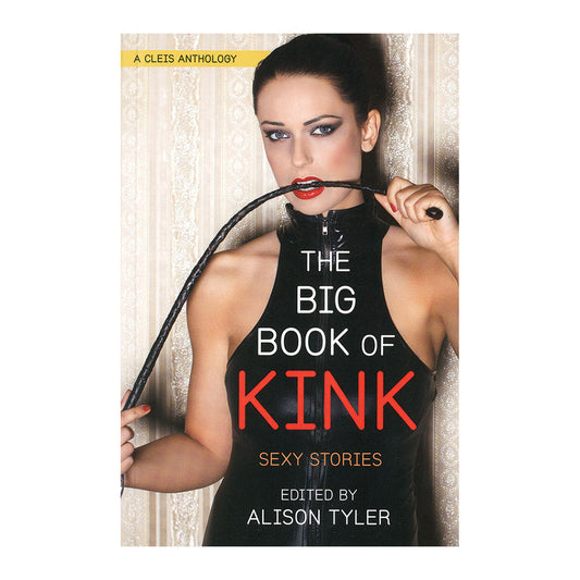 The Big Book of Kink: Sexy Stories - Not Very Vanilla