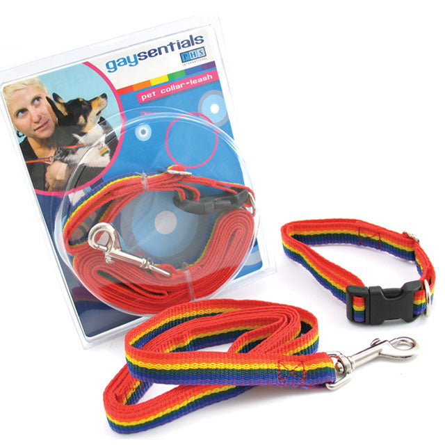 GS Pet Combo Leash/Collar (Medium) - Not Very Vanilla