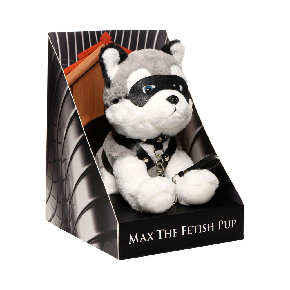 Master Series Max the Fetish Pup - Not Very Vanilla