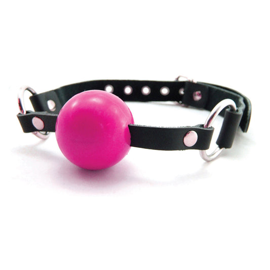 Sex Kitten Silicone Ball Gag Pink - Not Very Vanilla