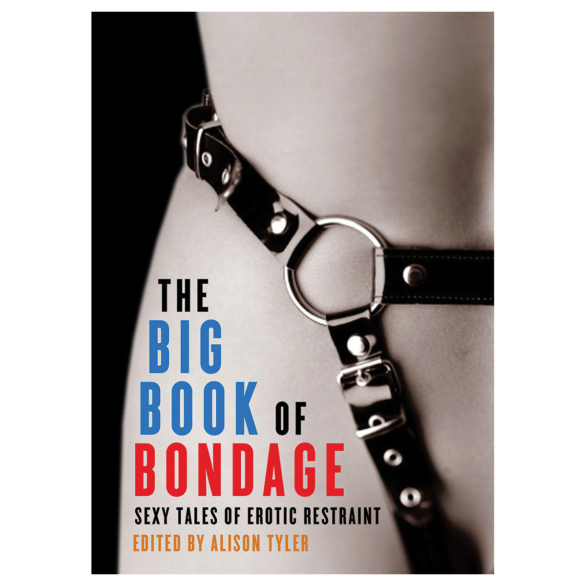 The Big Book of Bondage: Sexy Tales of Erotic Restraint - Not Very Vanilla