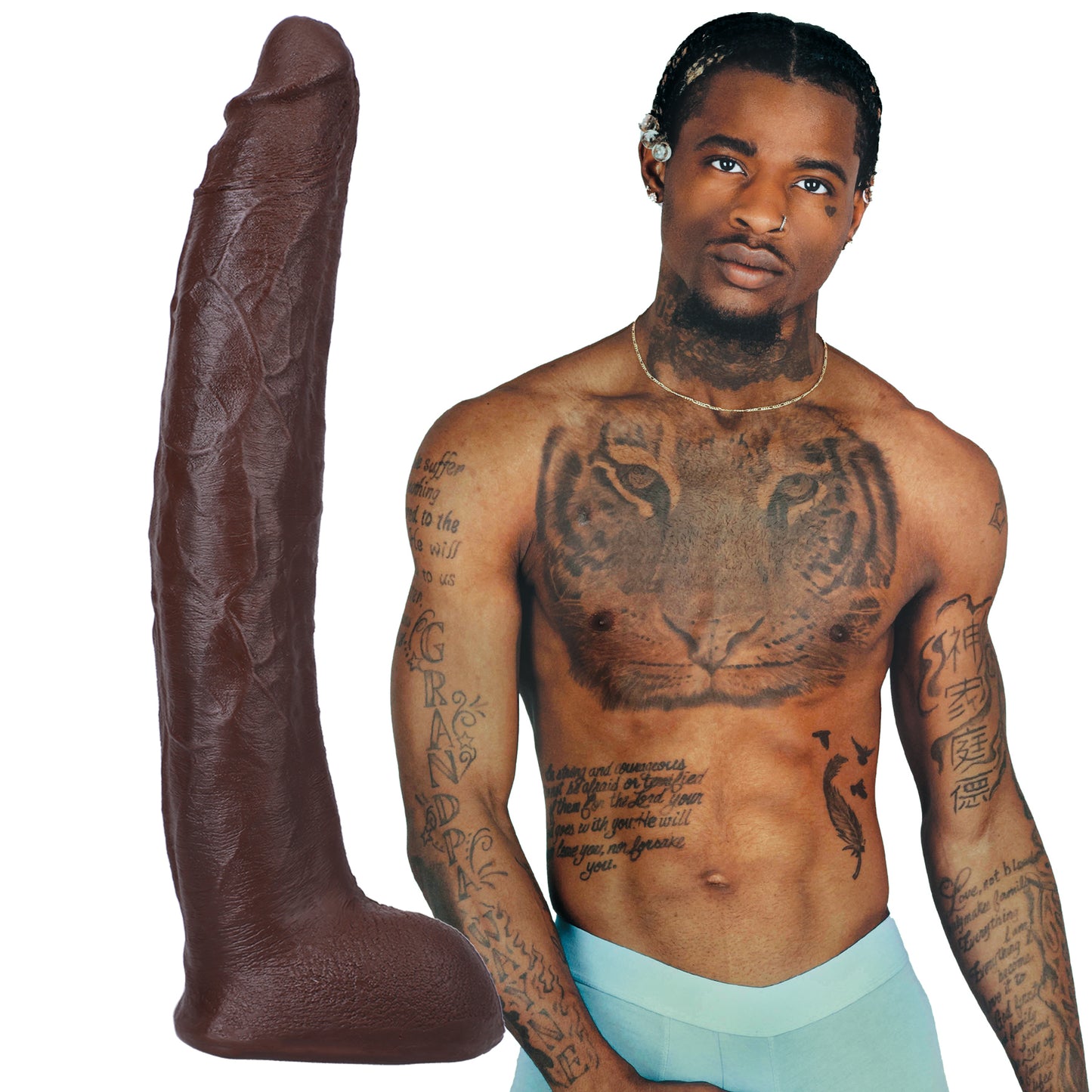 Signature Cocks - Damion Dayski - 12 Inch Ultraskyn Cock With Removable Vac-U-Lock Suction Cup - Chocolate - Not Very Vanilla