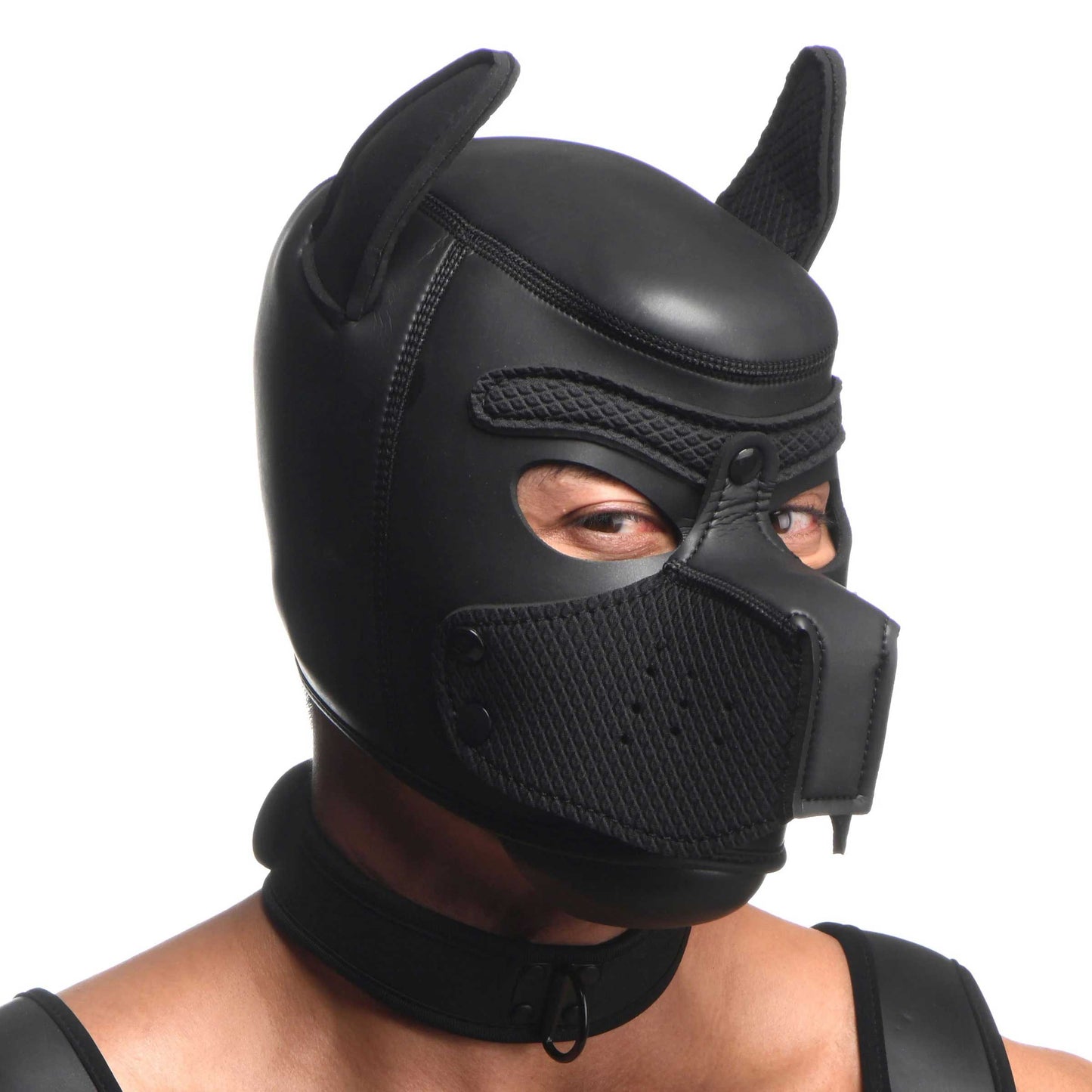 Full Pup Arsenal Set Neoprene Puppy Hood, Chest Harness, Collar With Leash and Arm Band - Black - Not Very Vanilla