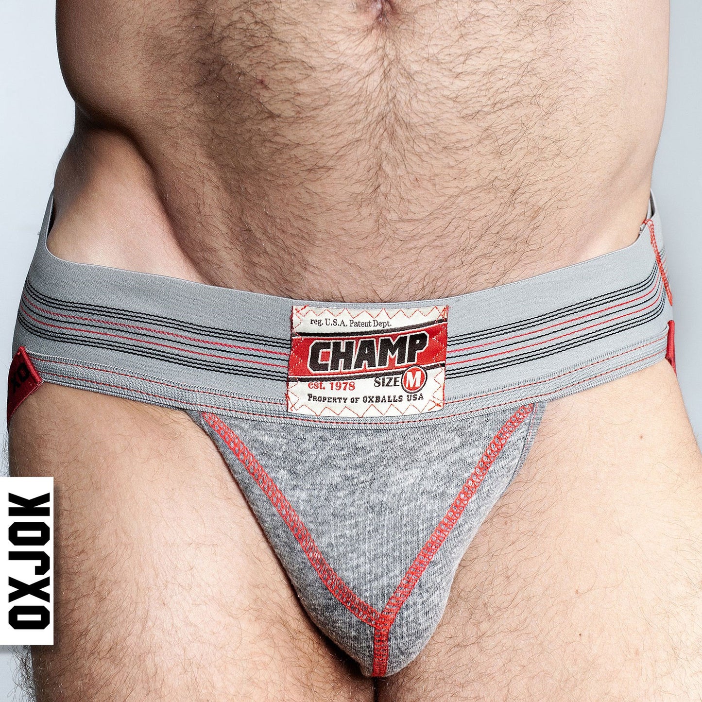 Champ Vintage Sweatshirt Jockstrap Gray Heather - Medium - Not Very Vanilla