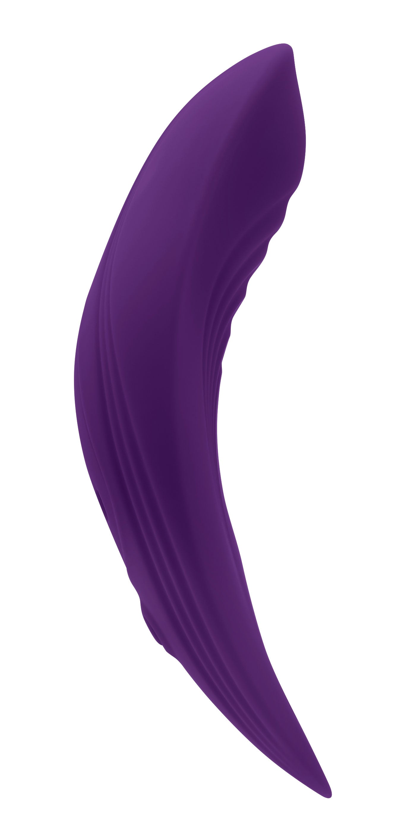 Our Little Secret - Vibrator - Dark Purple - Not Very Vanilla