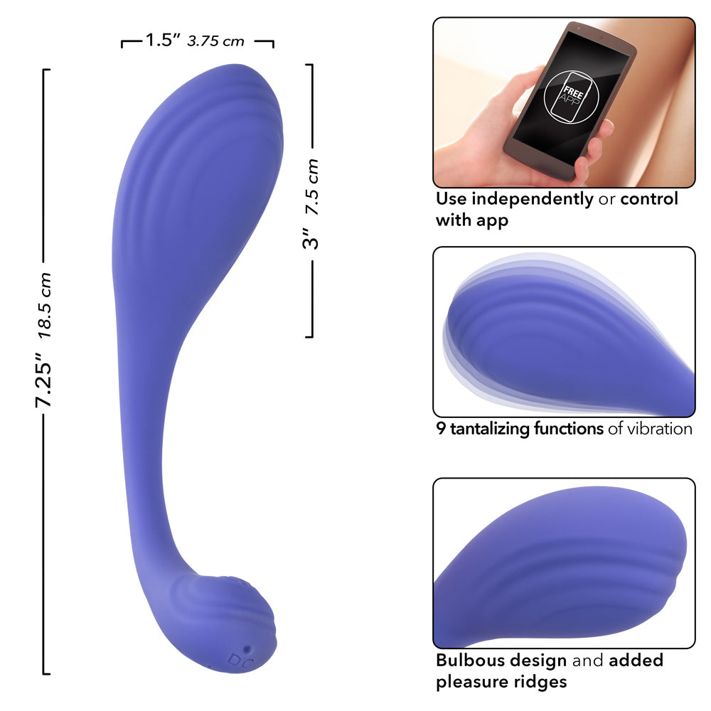 Calexotics Connect Kegel Exerciser - Periwinkle - Not Very Vanilla