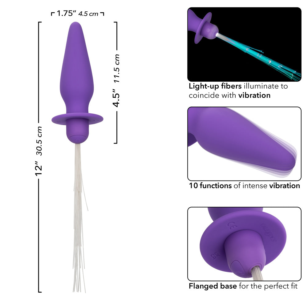 Southern Lights - Vibrating Light Up Anal Probe - Purple - Not Very Vanilla