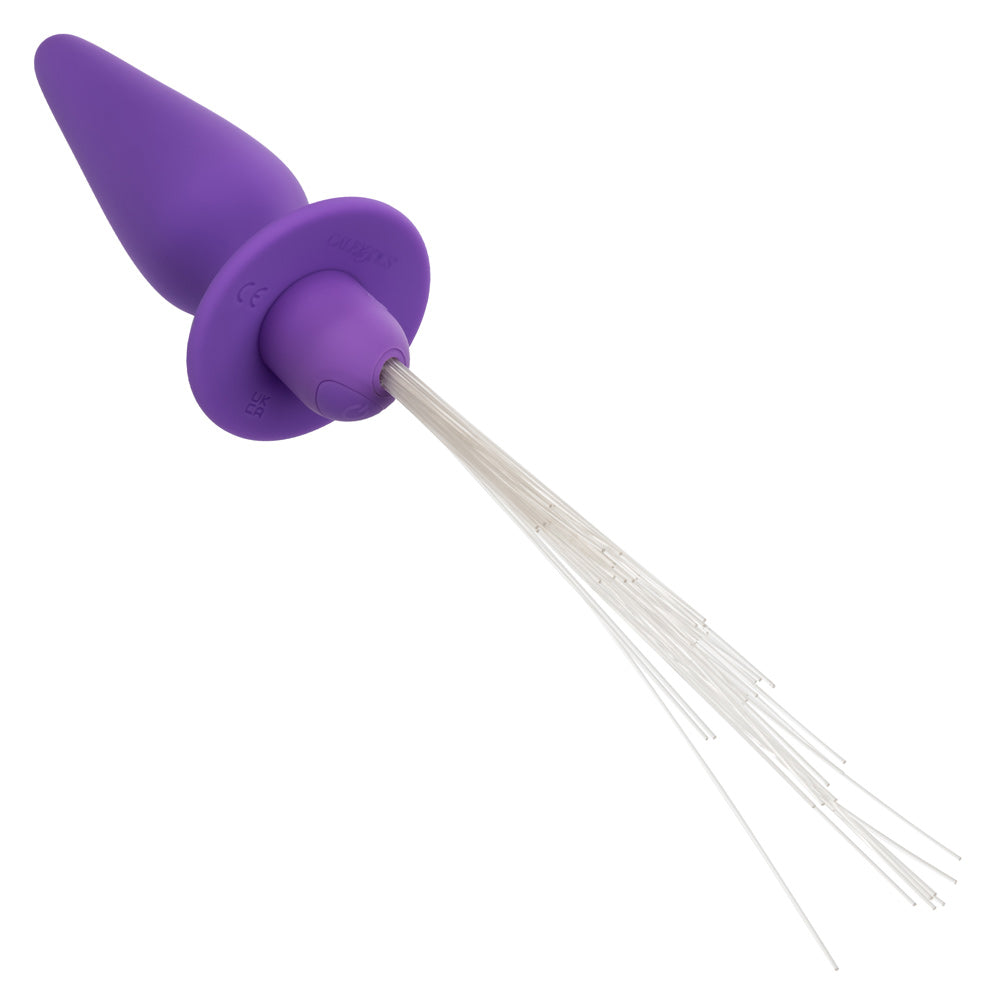 Southern Lights - Vibrating Light Up Anal Probe - Purple - Not Very Vanilla