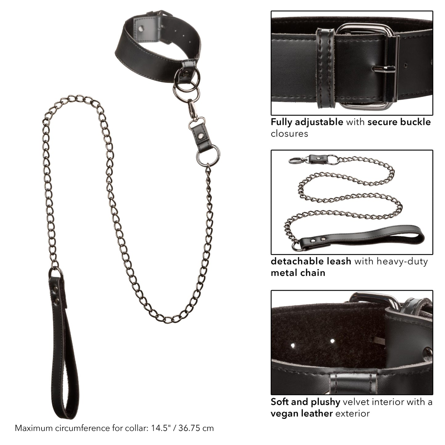 Euphoria Collection Collar With Chain Leash - Black - Not Very Vanilla