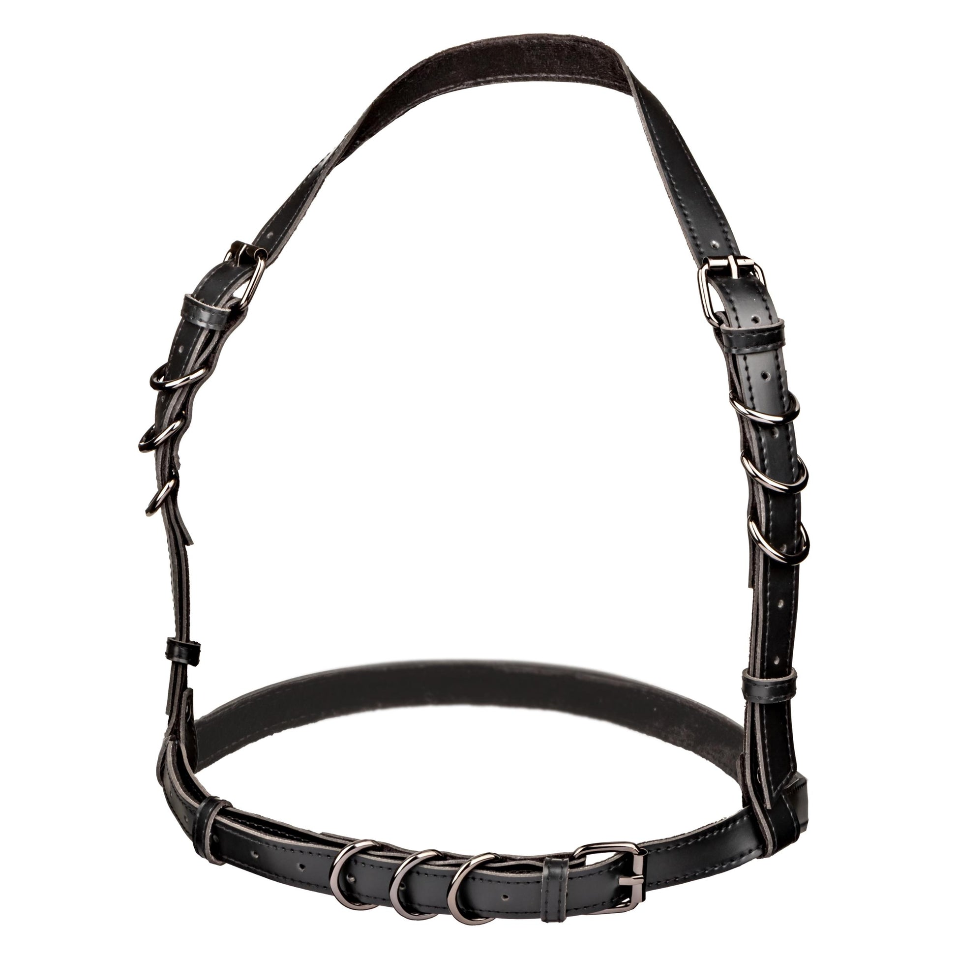 Euphoria Collection Halter Buckle Harness - Black - Not Very Vanilla