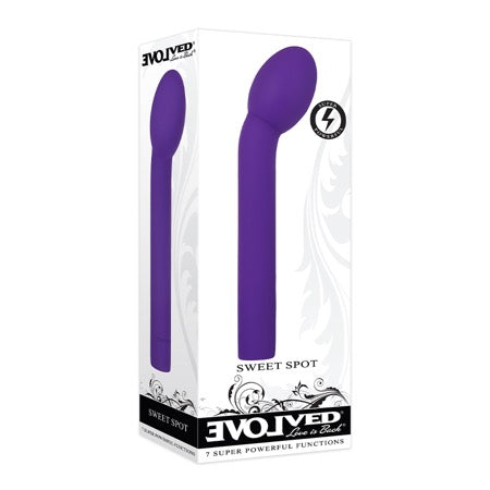 Evolved Sweet Spot Rechargeable Silicone G-Spot Vibrator Purple - Not Very Vanilla