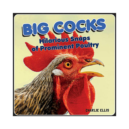 Big Cocks: Hilarious Snaps of Prominent Poultry - Not Very Vanilla