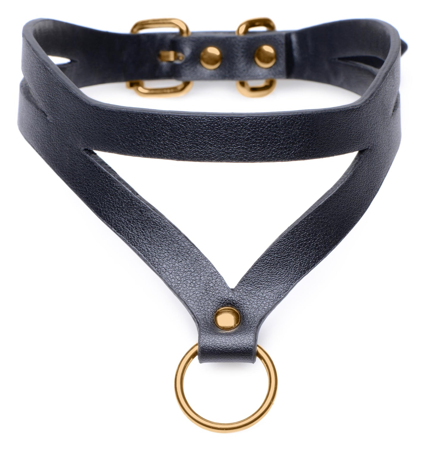 Black And Gold Collar With Leash Kit