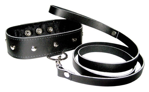 Leather Collar and Leash Set - Not Very Vanilla