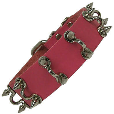 Spikes and Hooks Collar