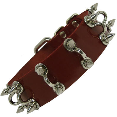 Spikes and Hooks Collar
