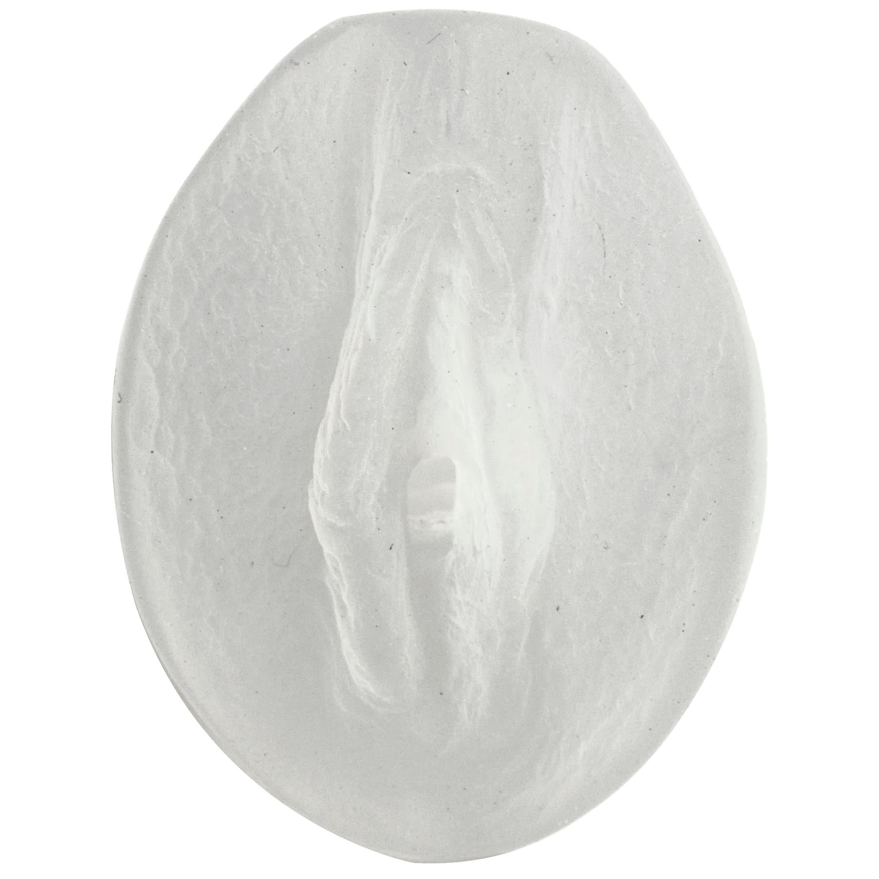 Palm Pal Frosted Ultraskyn Masturbator - Pussy - Clear - Not Very Vanilla