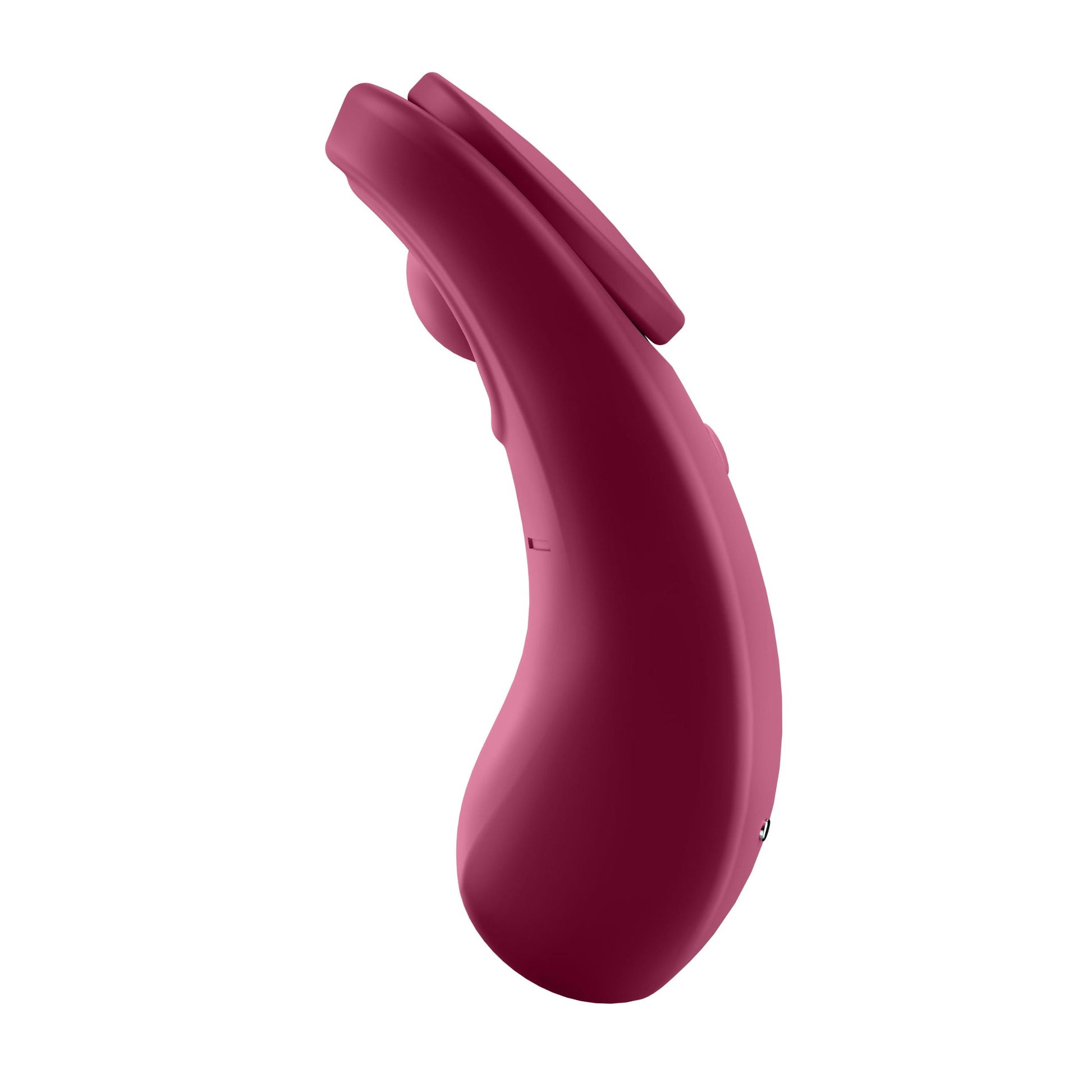 Sexy Secret - Panty Vibrator - Not Very Vanilla