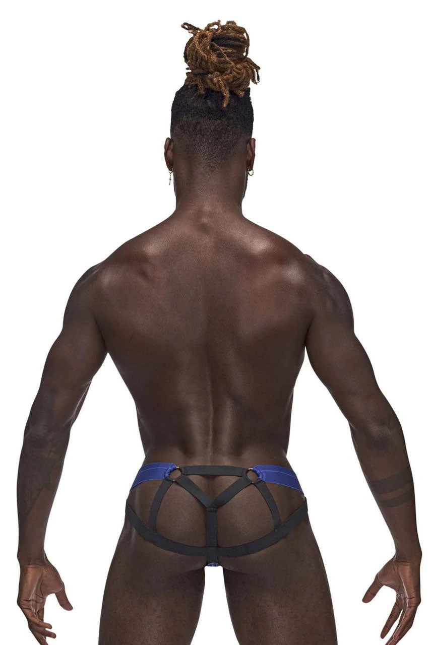 Sexagon Strappy Ring Jock - Large/x-Large - Royal - Not Very Vanilla