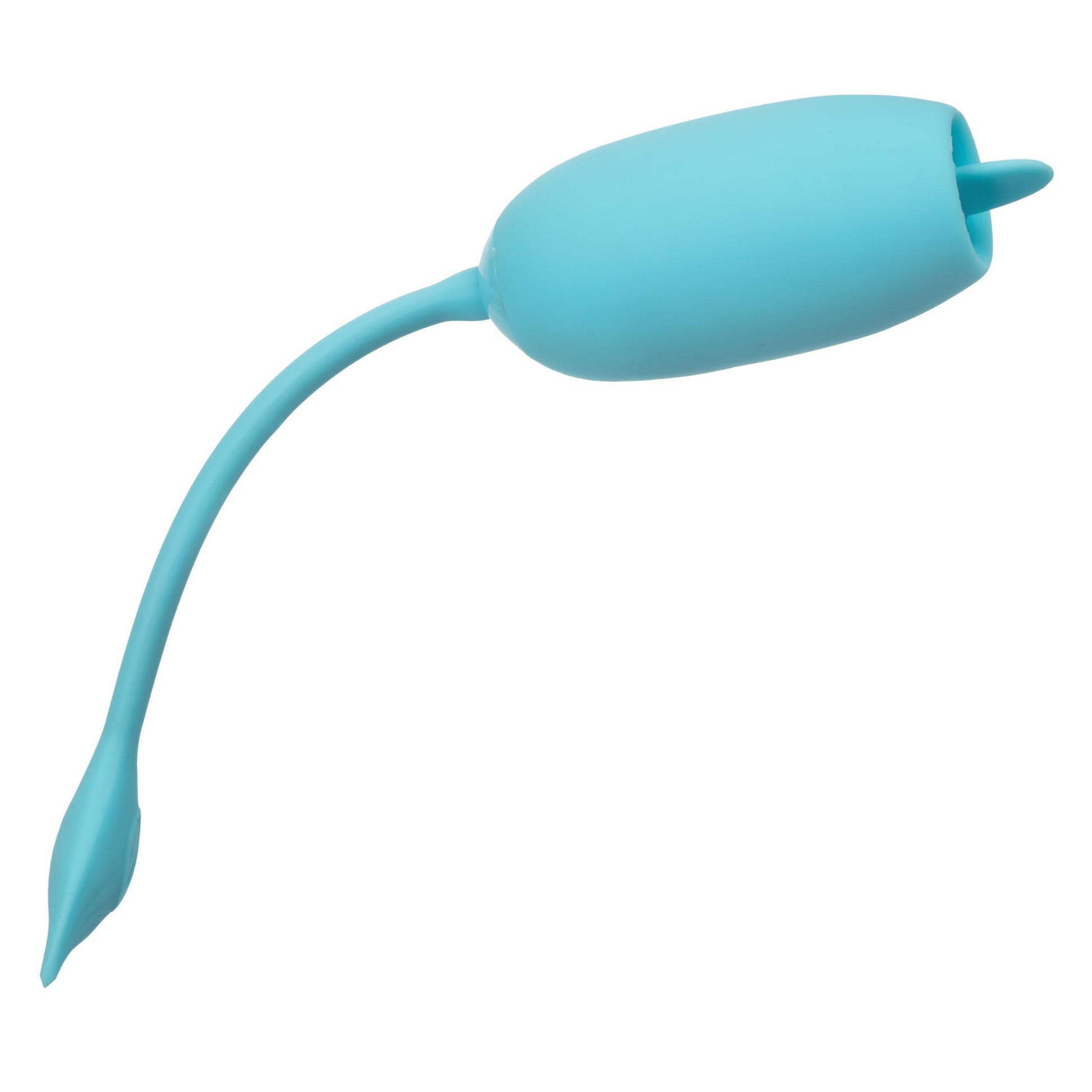 Rechargeable Kegel Teaser - Blue - Not Very Vanilla