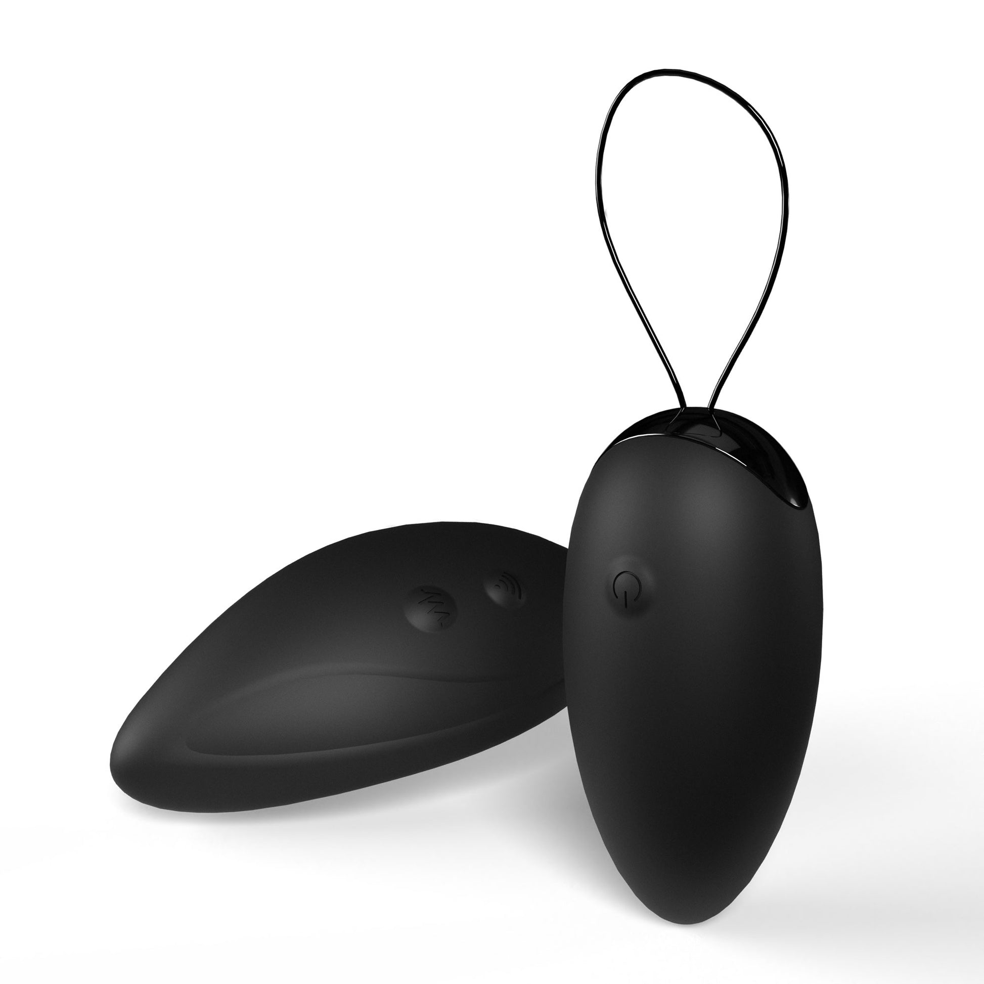 Premium Dual Vibe Remote and Egg - Black - Not Very Vanilla