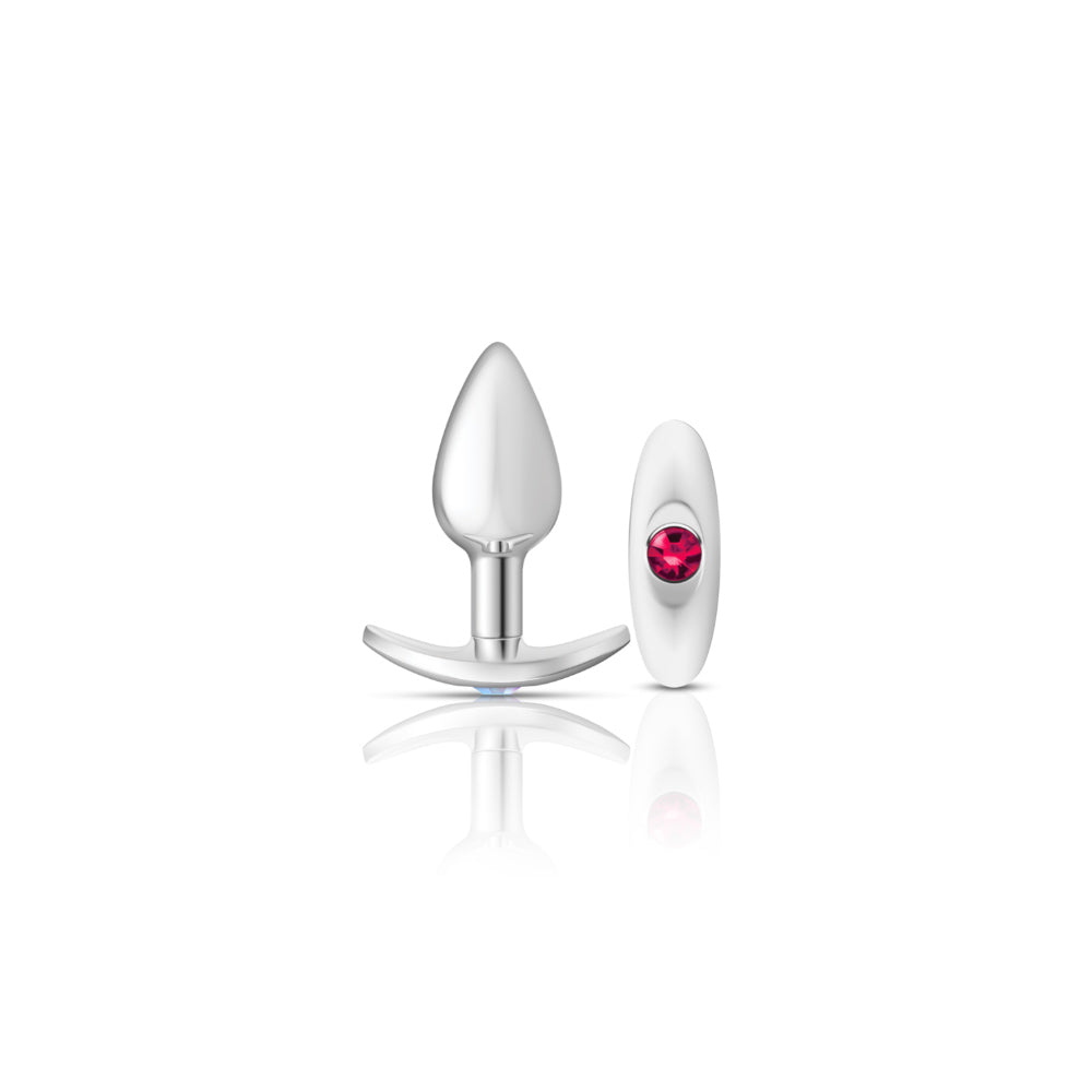 Cheeky Charms-Silver Metal Butt Plug Kit -Clear/bright Pink - Not Very Vanilla