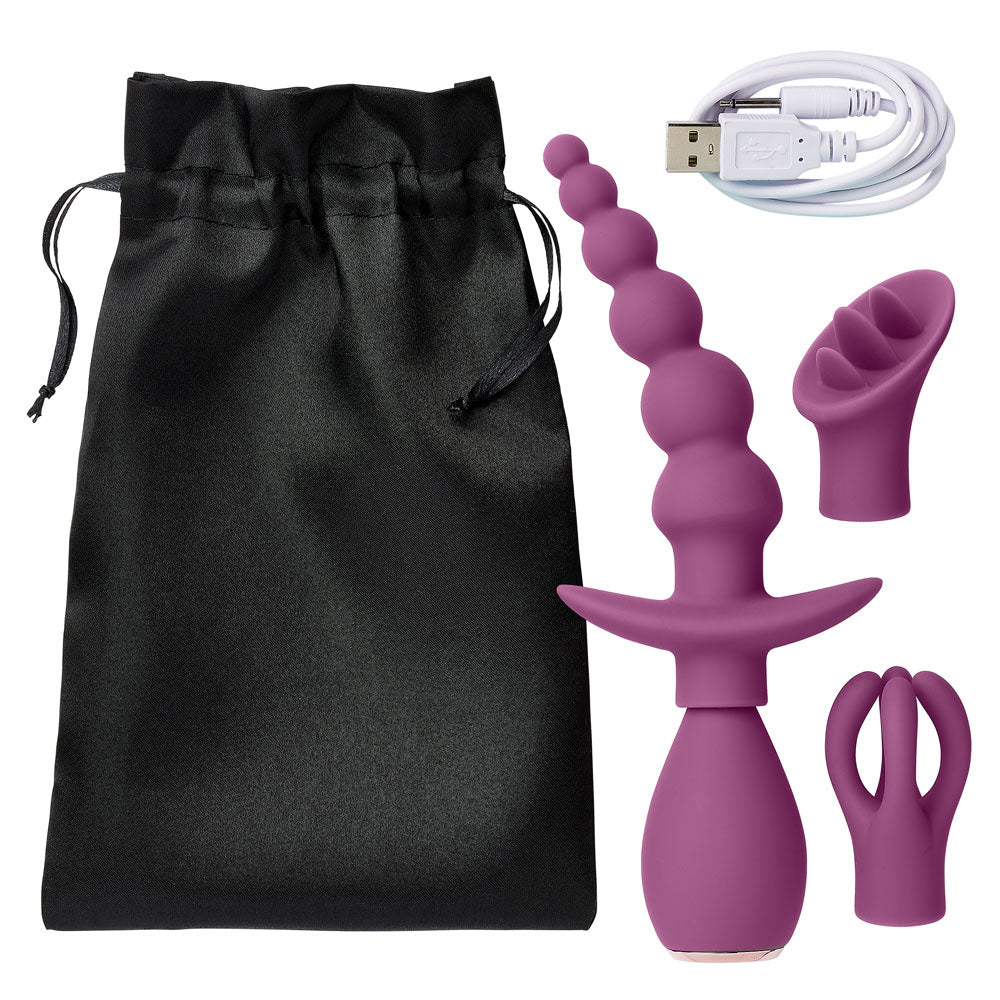 Cloud 9 Health and Wellness Anal Clitoral and Nipple Massager Kit - Purple - Not Very Vanilla