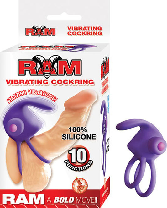 Ram Vibrating Cockring - Purple - Not Very Vanilla