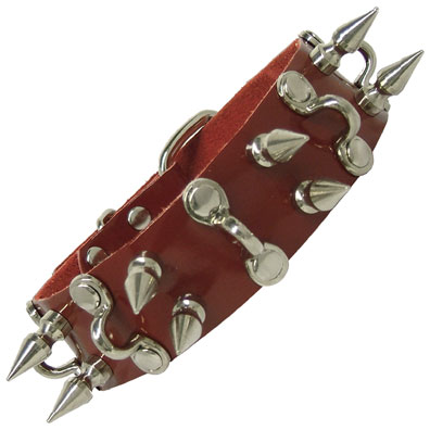 BDSM Collar With D Hooks And Hex Head Spikes - Not Very Vanilla