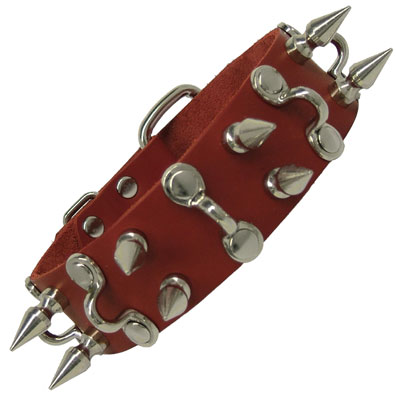 BDSM Collar With D Hooks And Hex Head Spikes - Not Very Vanilla